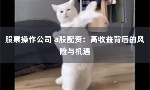 股票操作公司 a股配资：高收益背后的风险与机遇