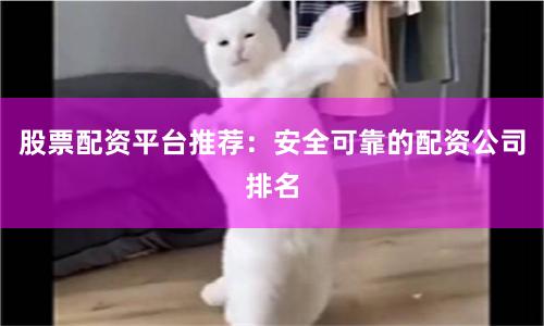 股票配资平台推荐:安全可靠的配资公司排名
