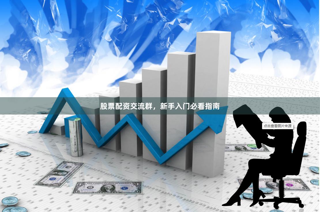 股票配资交流群，新手入门必看指南